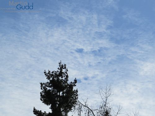 Altocumulus lacunosus (Wabenform)