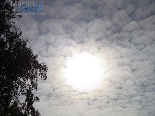 Dünner Altocumulus – Korona in Form einer Aureole um die Sonne / Thin Altocumulus - Corona in the form of an aureole around the sun